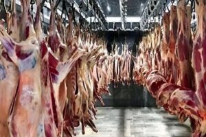 خرید گوشت قرمز آرزو شد/ قیمت گوشت قرمز امروز ۶ اردیبهشت ۱۴۰۴+ جدول