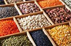 سقوط قیمت‌ها در بازار حبوبات اردیبهشت ۱۴۰۴؟