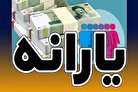شوک دولت به یارانه بگیران/ این افراد منتظر دریافت یارانه نقدی نباشند+ روش استعلام حذف یارانه