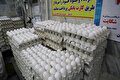 قیمت تخم‌مرغ ۵۰ درصد ارزان شد