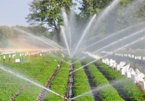 هدفگذاری اجرای ۷۰ هزار هکتار سامانه های نوین آبیاری کشاورزی