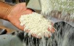 چرایی افزایش قیمت برنج ایرانی در بازار / قیمت‌ها از کیلویی ۲۵۰ هزار تومان گذشت