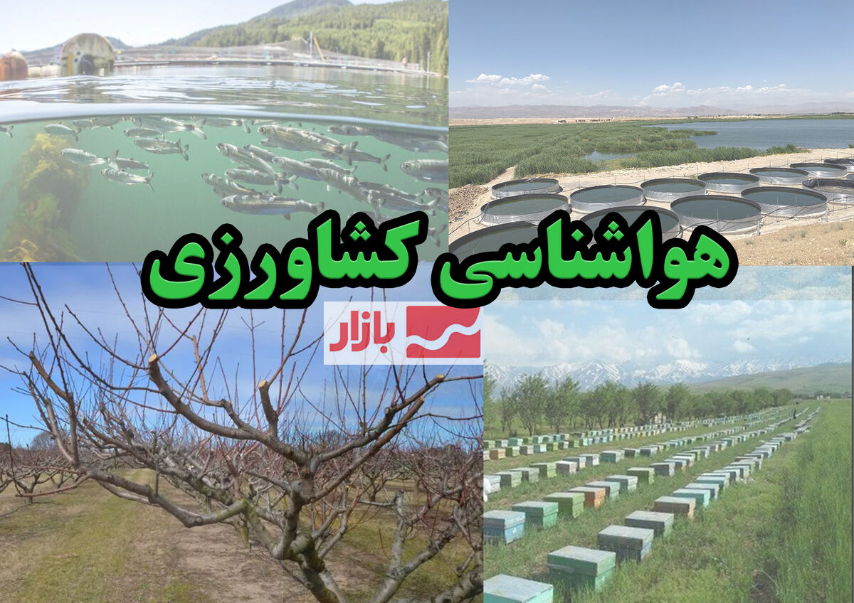 گلخانه داران از استحکام سازه‌ها اطمینان حاصل کنند