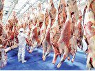 یه شقه گوسفندی چند؟ / قیمت گوشت قرمز امروز ۹ اردیبهشت ۱۴۰۴+ جدول