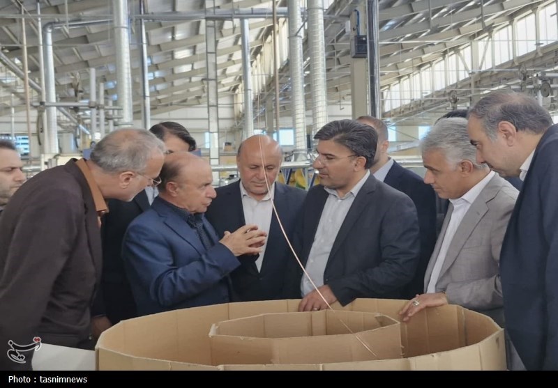۳۸ شهرک صنعتی استان تهران تا پایان سال به بهره‌برداری می رسد