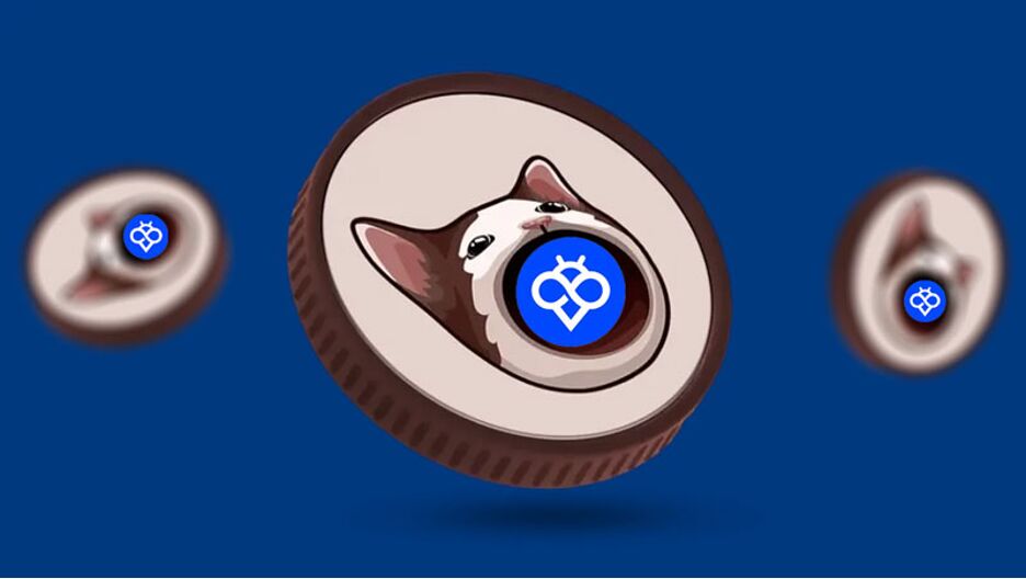 آموزش خرید میم کوین POPCAT از صرافی توبیت