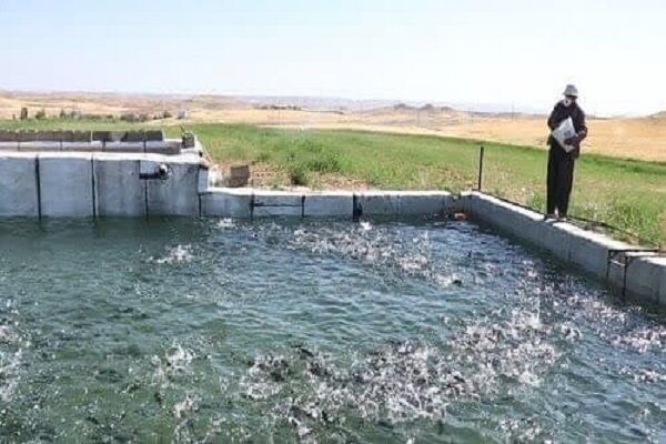 اجرای طرح دریابست در صیدگاه قشم آغاز شد