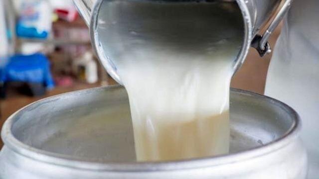 اصلاح قیمت شیرخام منجر به گرانی لبنیات می‌شود