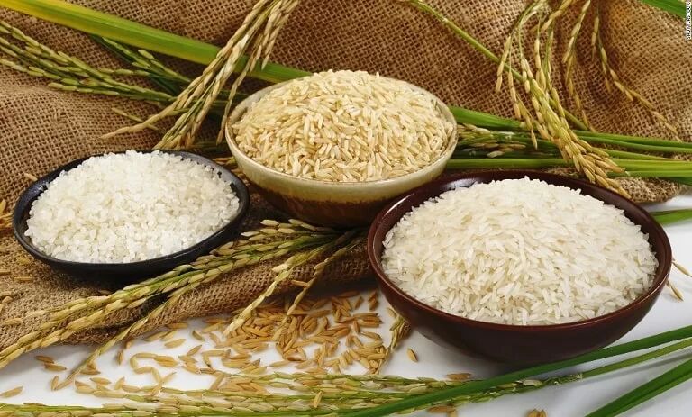 انحصار برنج؛ سود ۳ برابری با ارز دولتی