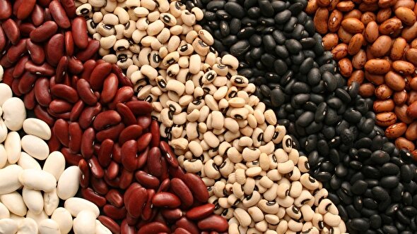 انفجار بزرگ در بازار حبوبات/ قیمت لوبیا هم قیمت گوشت شد
