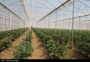 بازاندیشی در کارآمدی تات؛ از گسترش کمی تا اثربخشی مأموریتی
