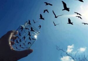 تابش نور خورشید هشتم گرمابخش زندگی زندانیان
