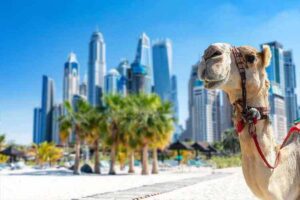 تور دبی با کمترین قیمت؛ از کجا بخریم و چه زمانی رزرو کنیم؟
