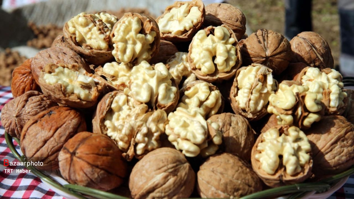 تولید جهانی گردو به ۳.۸ میلیون تن رسید؛ ایران در جایگاه چهاردهم صادرات گردو بدون پوست