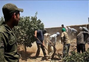 جزئیات جدید از سقوط ۸ نفر به چاه در کوهدشت/ ۷ نفر فوت شدند