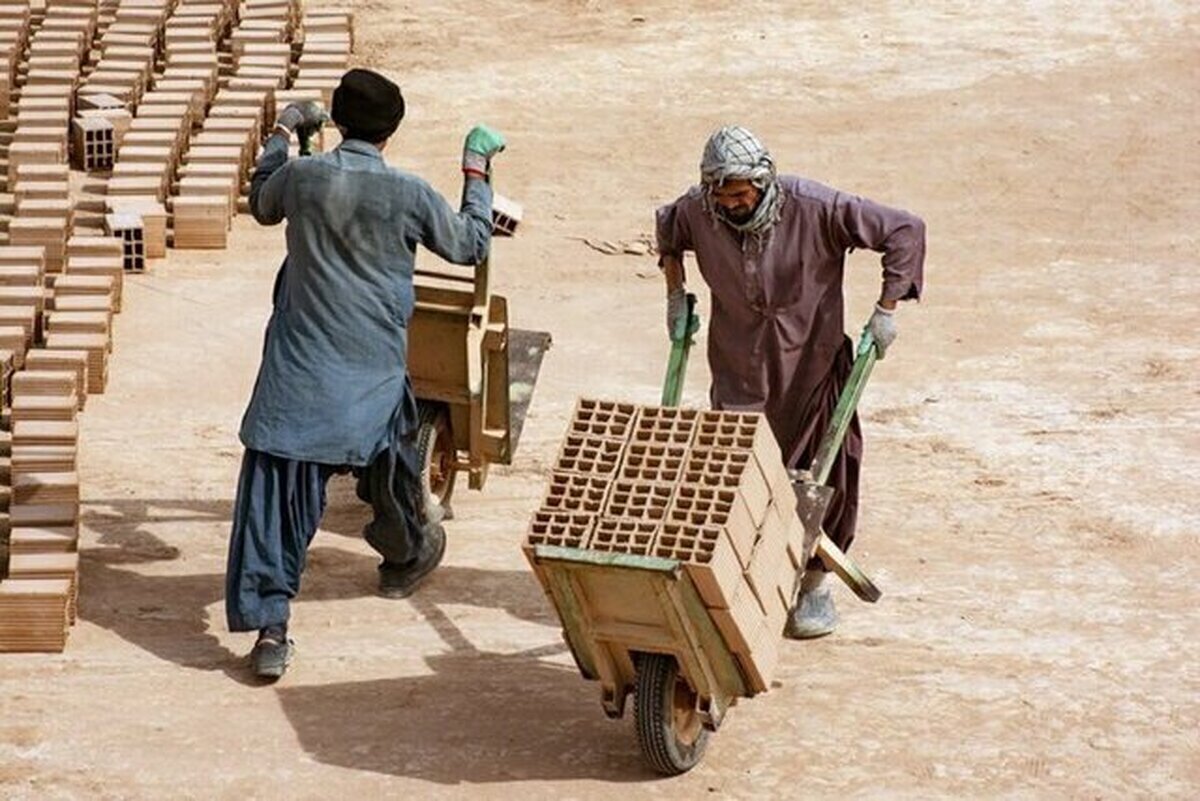 معاون وزیر کار: حذف نیروی کار خارجی غیرواقع بینانه است