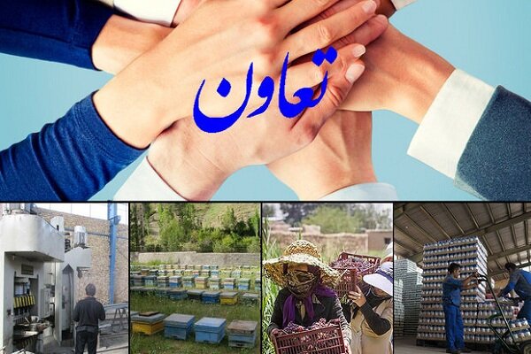نقش‌آفرینی تعاونی‌های همدان در تحقق شعار سال با ارزآوری ۵۸ میلیون دلاری