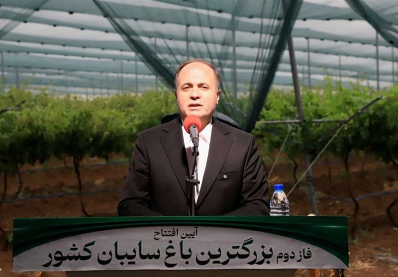 نوری: ایران در ۳۰ محصول باغی رتبه‌های یک تا دهم دنیا را دارد
