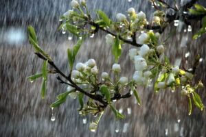 هواشناسی ۱۳ اردیبهشت ۱۴۰۴ | بارش باران در ۱۹ استان هواشناسی ۱۳ اردیبهشت ۱۴۰۴ | بارش باران در ۱۹ استان
