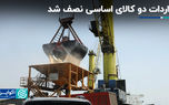 واردات دو کالای اساسی نصف شد