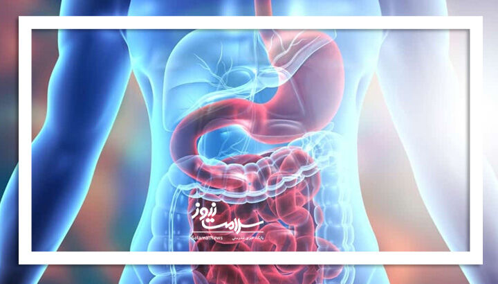 ویتامین های کلیدی برای سلامتی روده را بشناسید