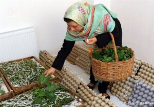 چند درصد از مشاغل خانگی در اختیار زنان است؟
