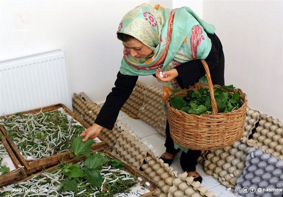 چند درصد از مشاغل خانگی در اختیار زنان است؟