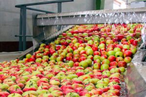 ۲ هزار میلیارد ریال برای توسعه صنایع تبدیلی کشاورزی بوشهر سرمایه‌گذاری شد