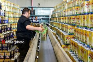 افزایش بی سابقه تولید روغن نباتی به ۲۰۳ هزار تن