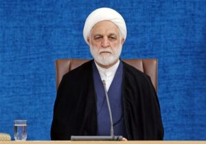 اژه‌ای:پرونده قتل الهه حسین‌نژاد با دقت و سرعت رسیدگی می‌شود