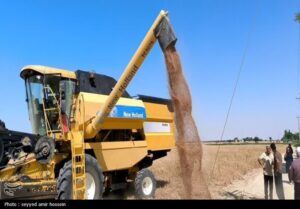 خرید تضمینی گندم از مرز ۳ میلیون و ۸۰۰ هزار تُن گذشت