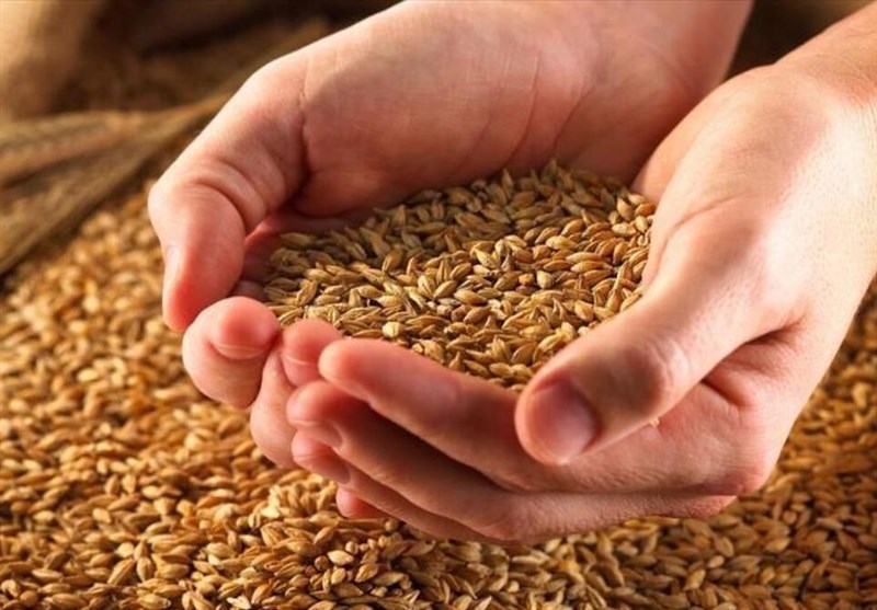 ذخایر غلات ایران ۱۳.۵ میلیون تن و بیشترین در آسیا پس از چین و هند است