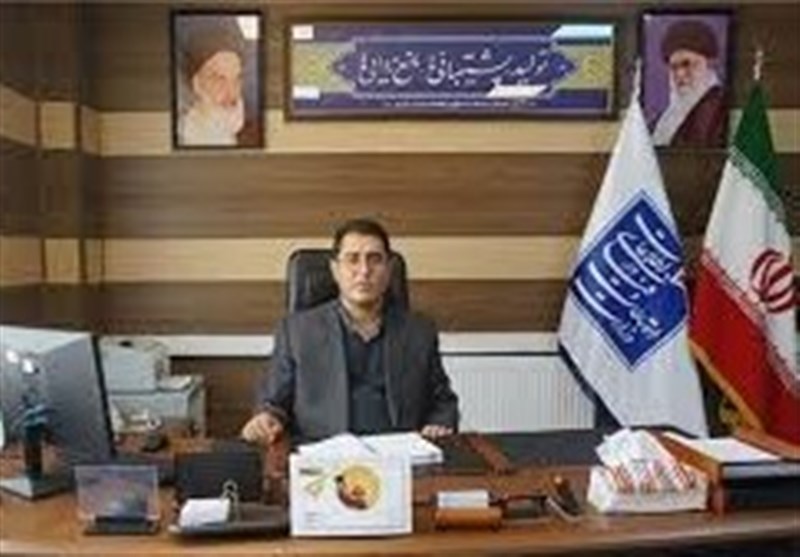 رشد ۳۹ درصدی ظرفیت شبکه انتقال ارتباطات و فناوری اردبیل