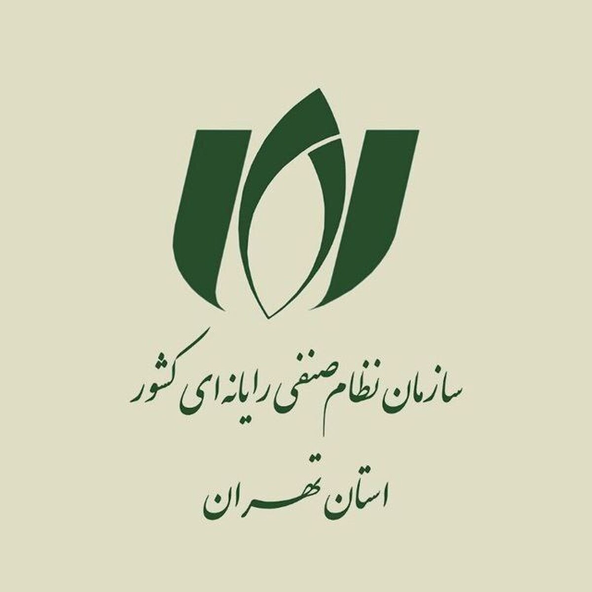 شفاف‌سازی رئیس سازمان نظام صنفی رایانه‌ای درباره دسترسی شرکت‌ها به اینترنت بین‌الملل