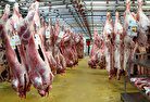 قیمت گوشت قرمز امروز ۱۱ خرداد ۱۴۰۴ / راسته گوسفندی از ۲ میلیون هم گذشت!