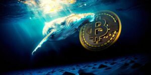 نهنگ‌ها در حال بلعیدن بیت کوین! موج صعودی BTC آغاز می‌شود؟