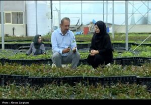 ورود اقتصاد دانش‌بنیان به حوزه گیاهان