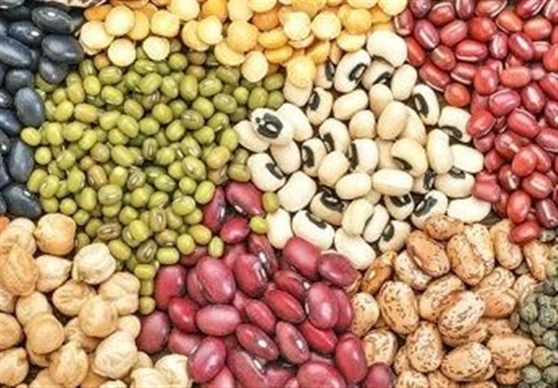 ۱۰ هزار تن حبوبات تنظیم بازاری از شنبه‌ توزیع می‌شود