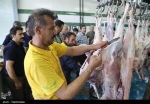 ۷ توصیه دامپزشکی برای رعایت اصول بهداشتی قربانی