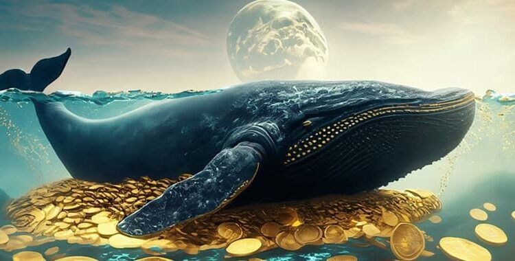آخرین وضعیت بازار رمزارزها در جهان| صعود قیمت بیت‌کوین با حرکت نهنگ دوران ساتوشی