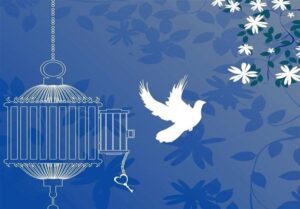 آزادی تعدادی از زندانیان تهران با کمک ۲۰ میلیارد تومانی