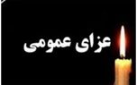 اعلام ۲ روز عزای عمومی در کردستان به مناسبت درگذشت فعالان محیط زیست
