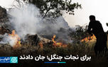 برای نجات جنگل؛ جان دادند
