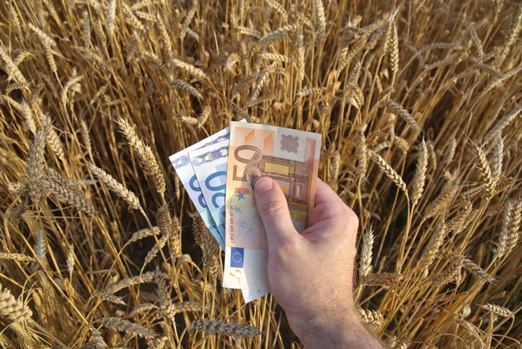 تخصیص ارز ترجیحی به کالا‌های اساسی ادامه می‌یابد