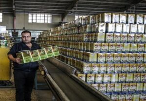 تخلف عجیب شرکت‌های پخش برای توزیع روغن