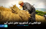 خودکفایی در کشاورزی؛ عامل تنش آبی