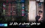 دو عامل نوسان در بازار ارز