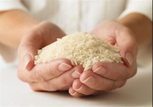 قیمت برنج ایرانی با شیب مناسب در حال کاهش است