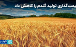 قیمت‌گذاری تولید گندم را کاهش داد