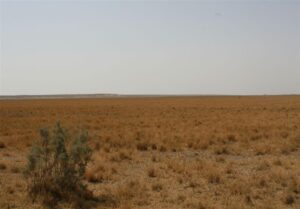 مرگ تدریجی تالاب بندعلیخان در سایه تعارضات مدیریتی